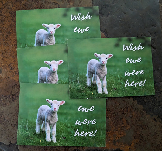 Wish Ewe Were Here Postcard