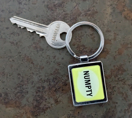 Numpty Keyring